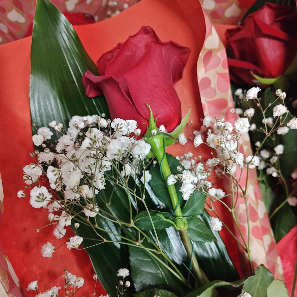 Rosa a gambo lungo confezionata