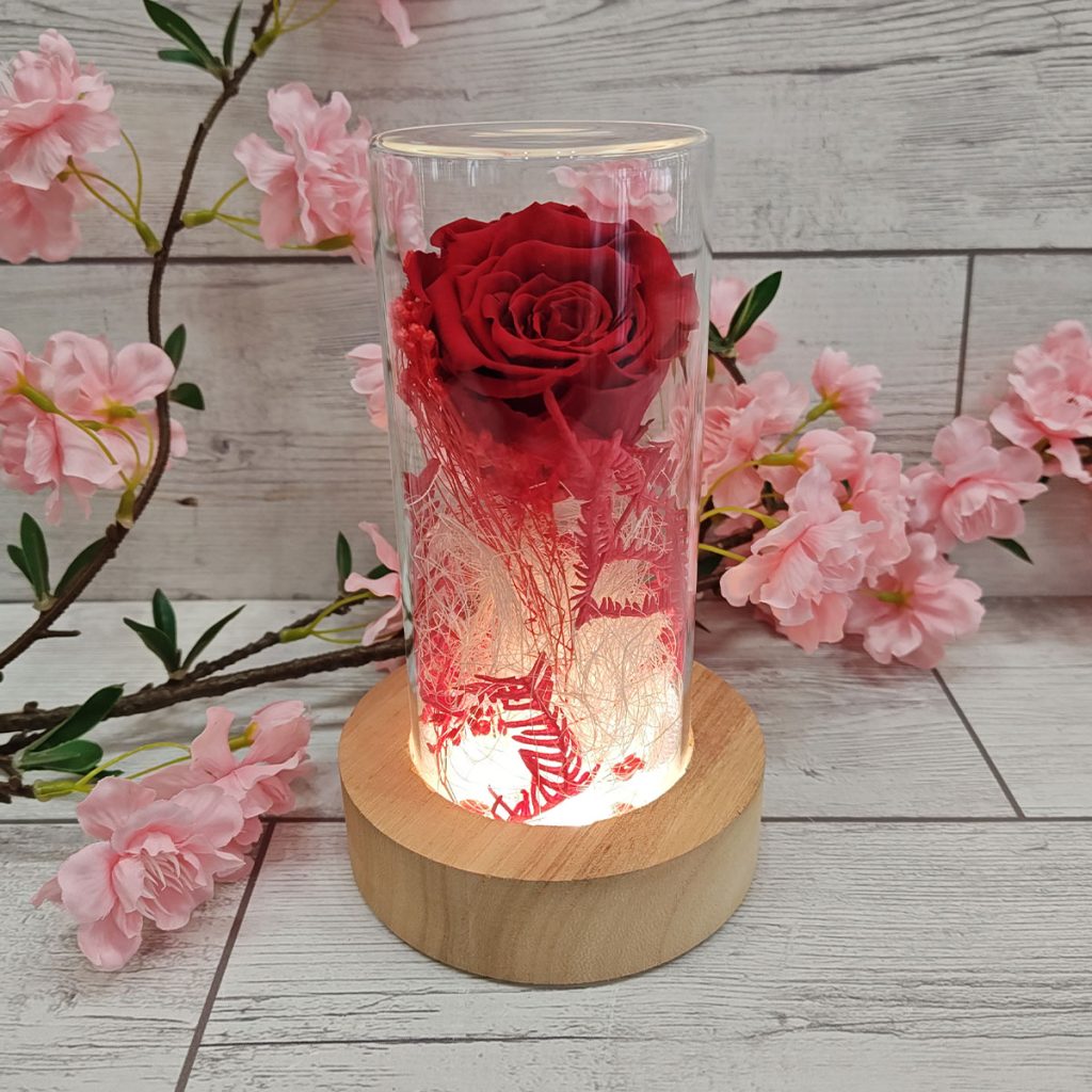 Rosa stabilizzata cilindro con led