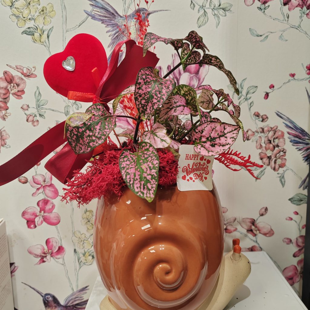 Le Va..lentine : color terracotta