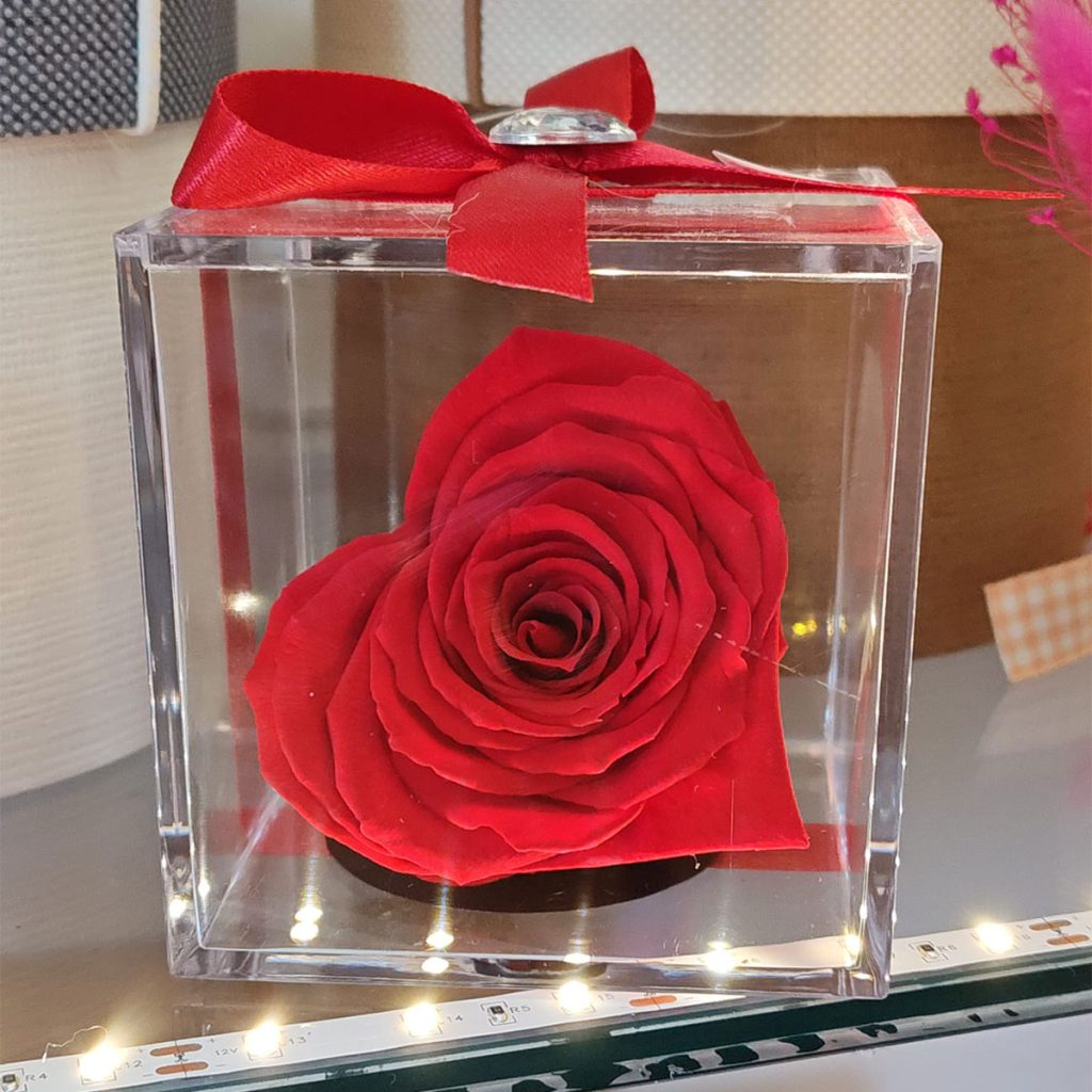 Rosa stabilizzata a cuore