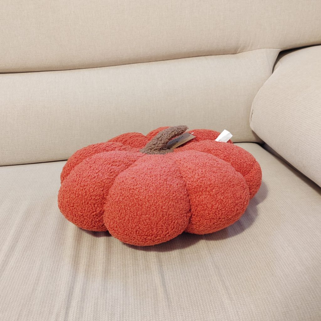 Cuscino zucca arancione