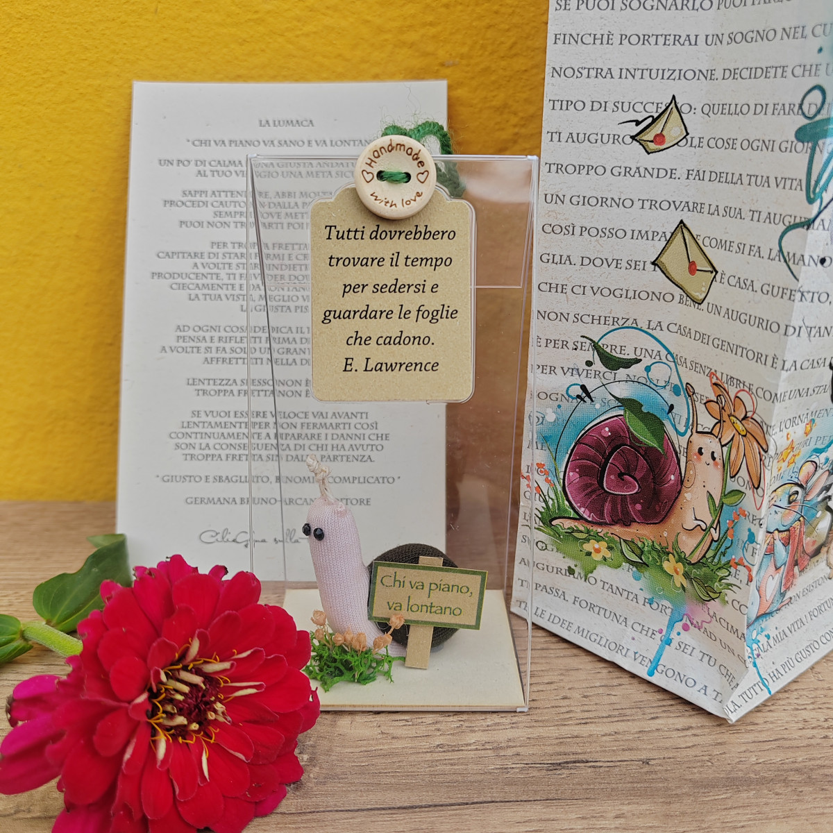 Lumachina "Tutti dovrebbero trovare il tempo per sedersi"