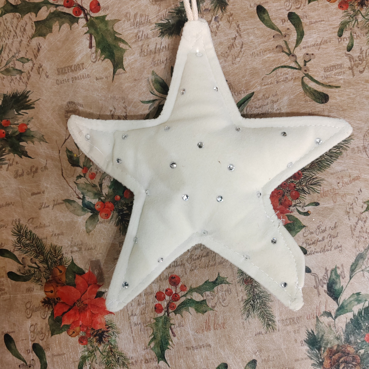 Stella in velluto bianco