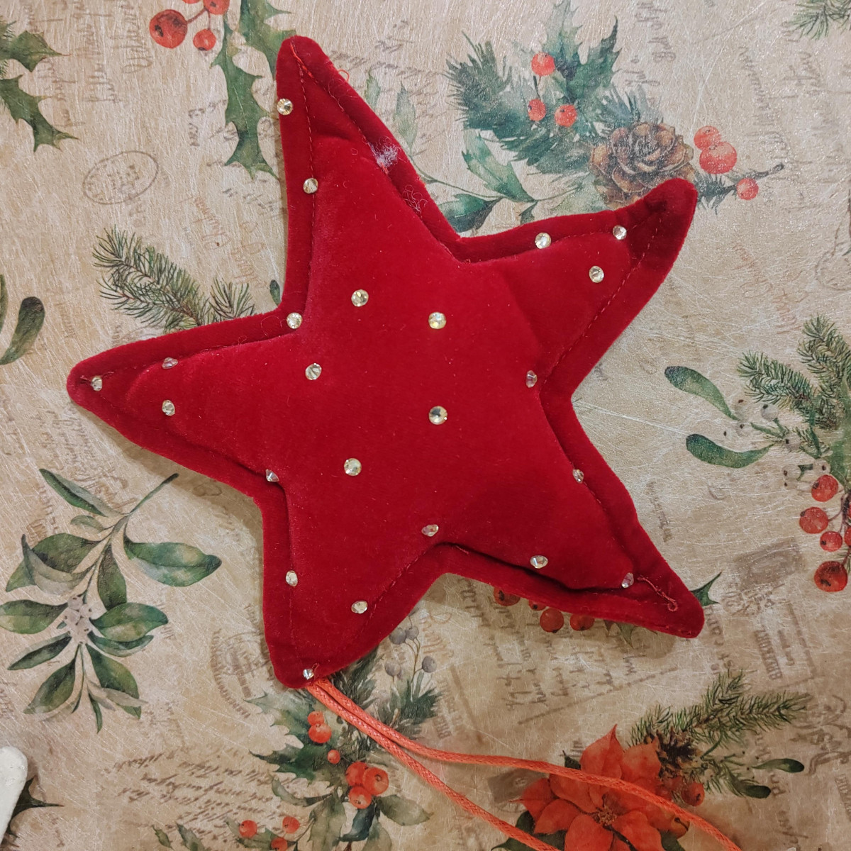 Stella in velluto bordeaux