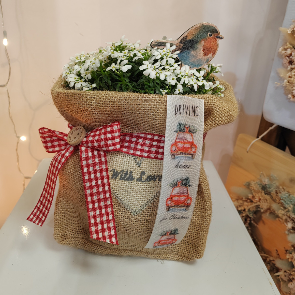 Piantina con pettirossino