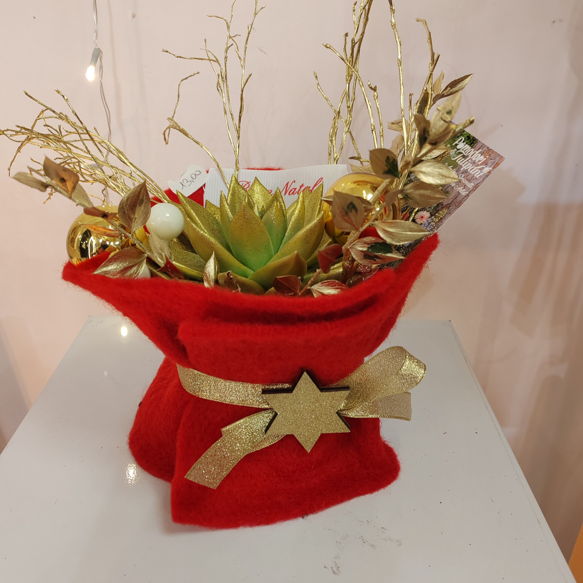 Echeveria rosso e neve