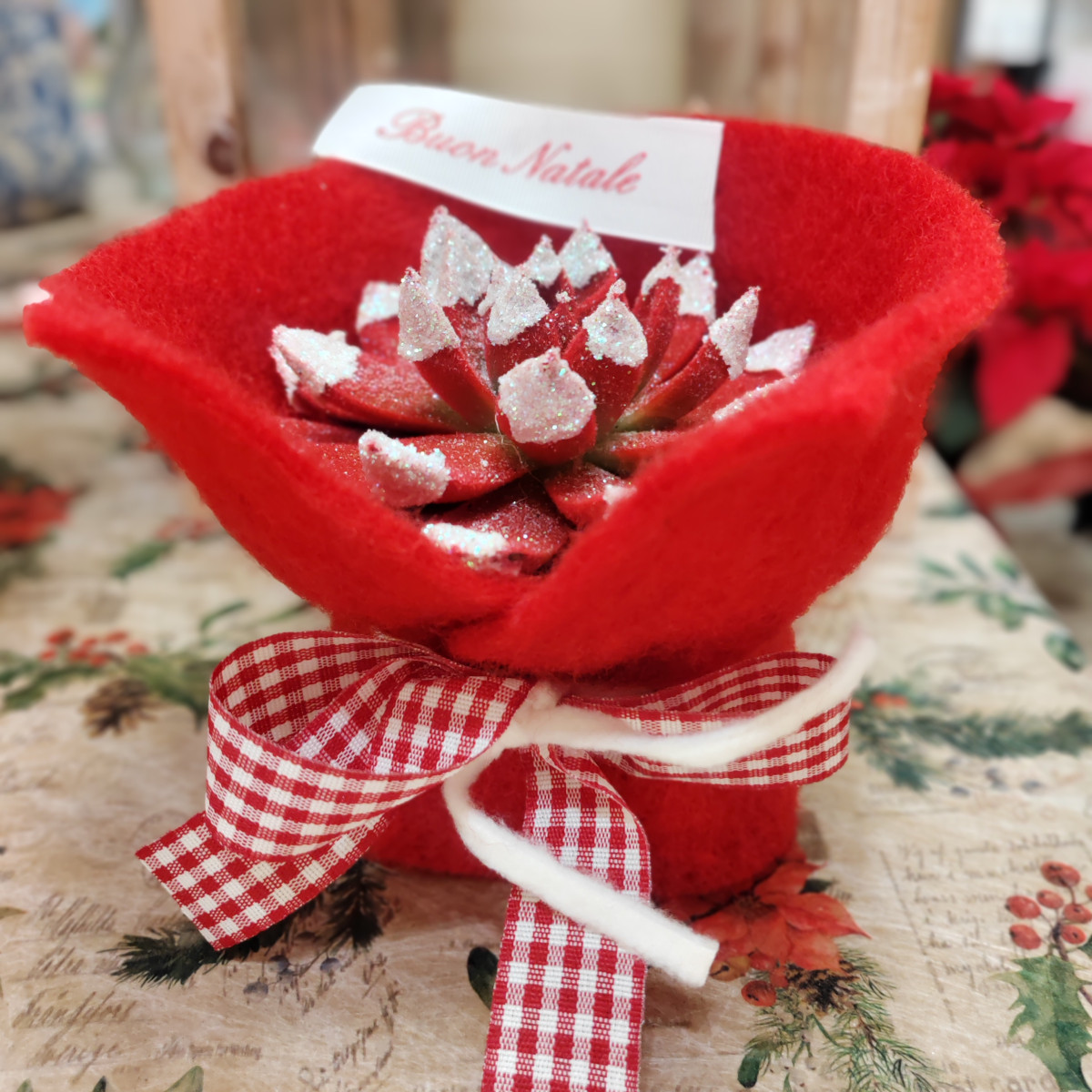 Echeveria rosso e neve