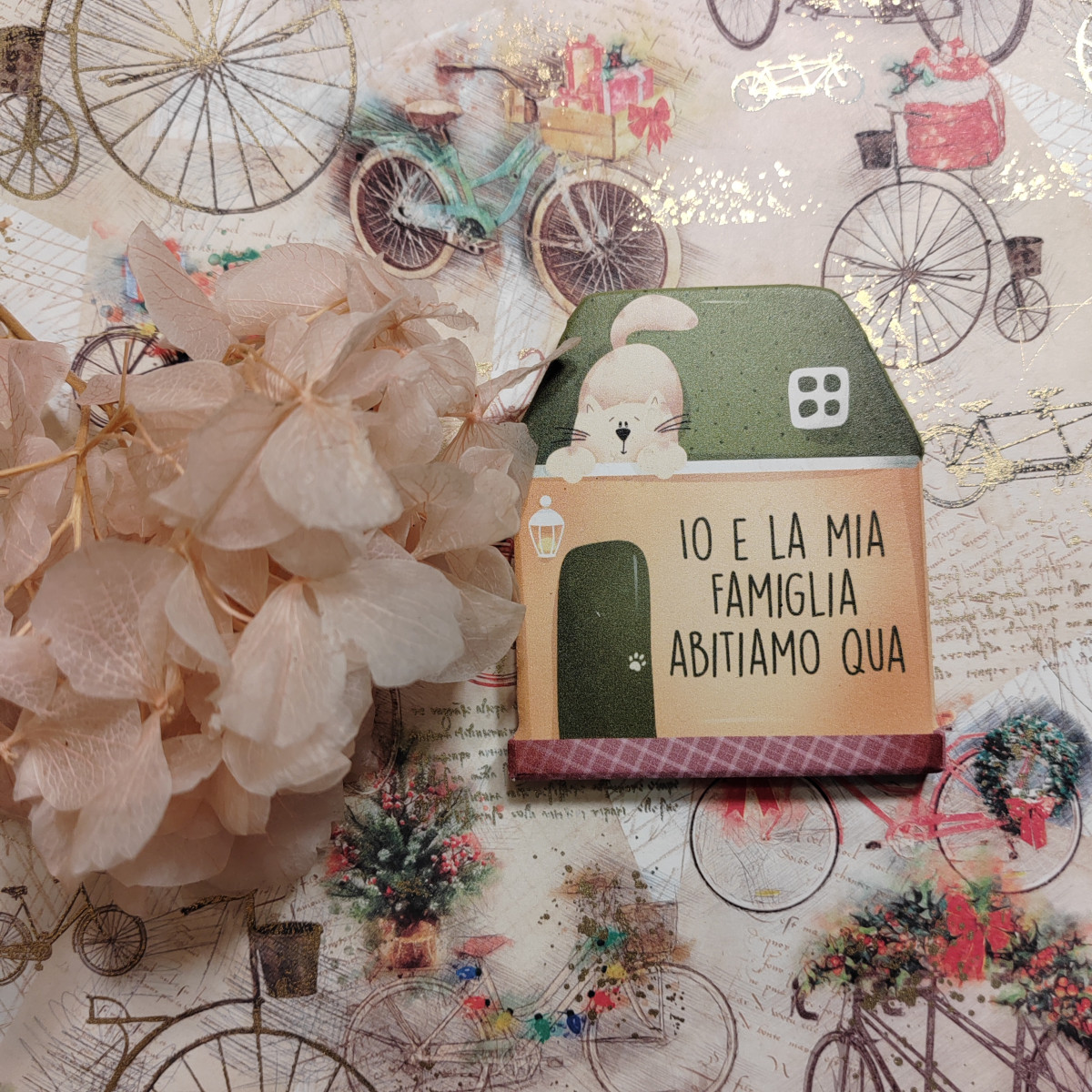 Calamita "Io e la mia famiglia abitiamo qua"