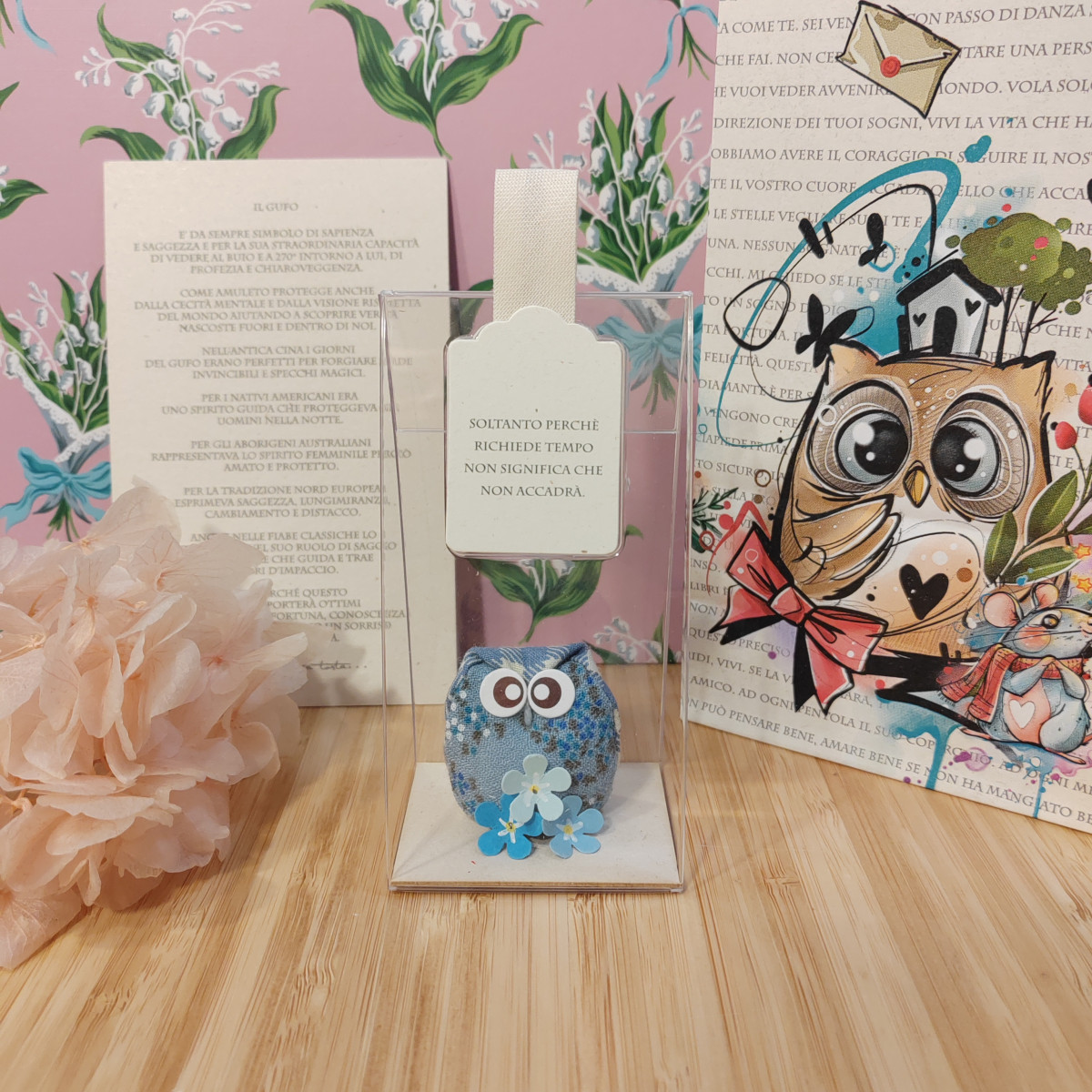 Gufetto azzurrino "Soltanto perché richiede tempo"