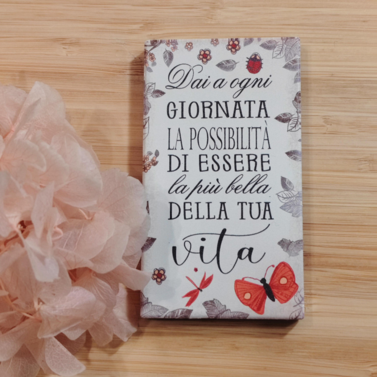 Calamita "Dai a ogni giornata "