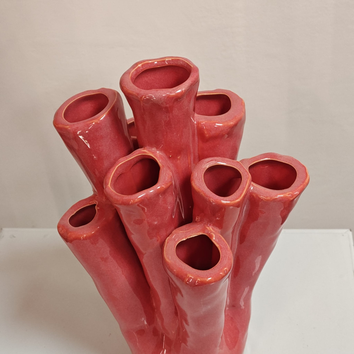 Tulipaniera rosa corallo