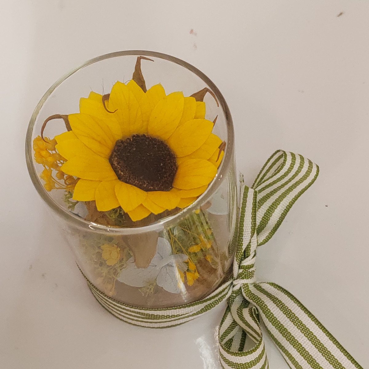 Composizione sotto vetro con tappo in sughero con mini girasole