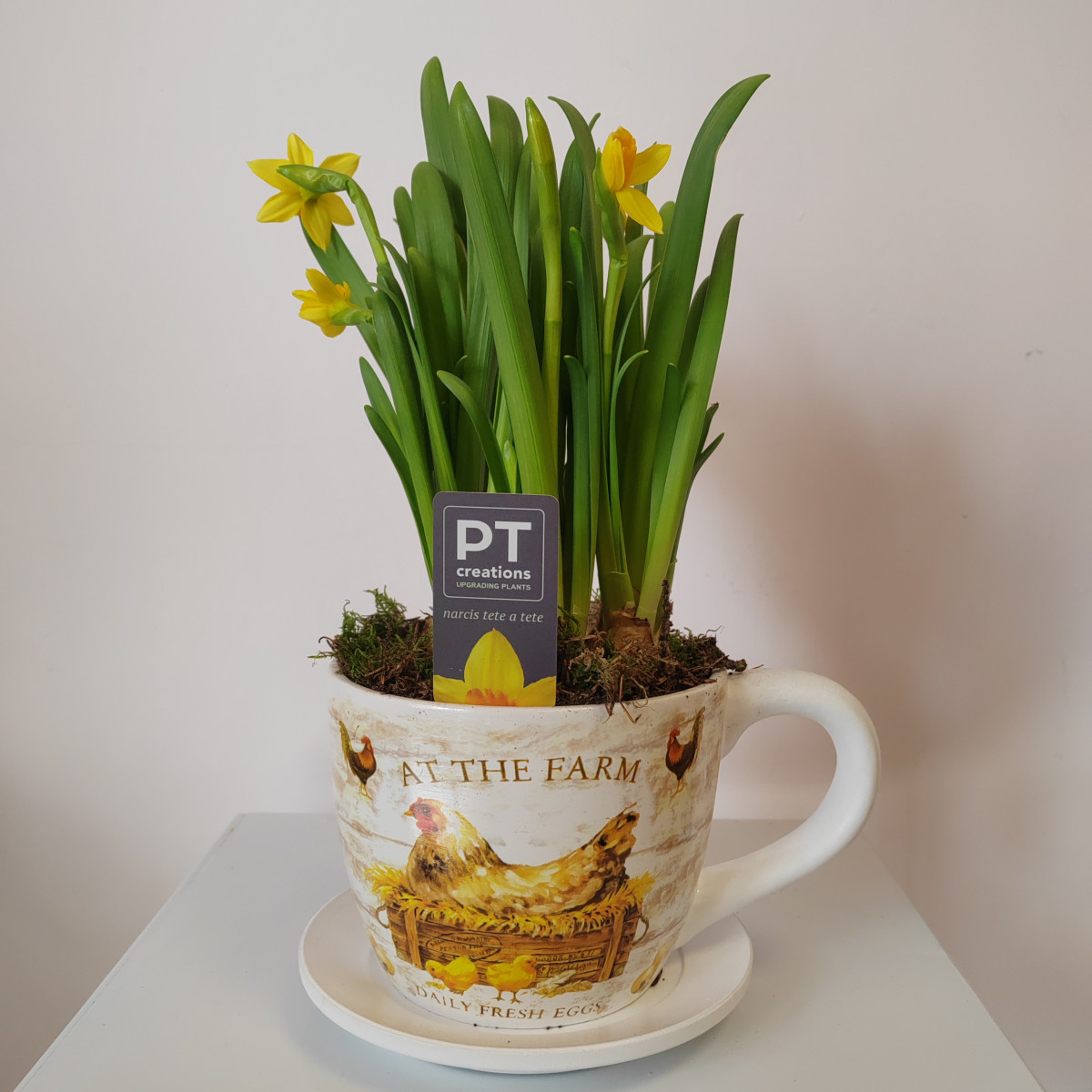 Tazza country con gallina e narcisi