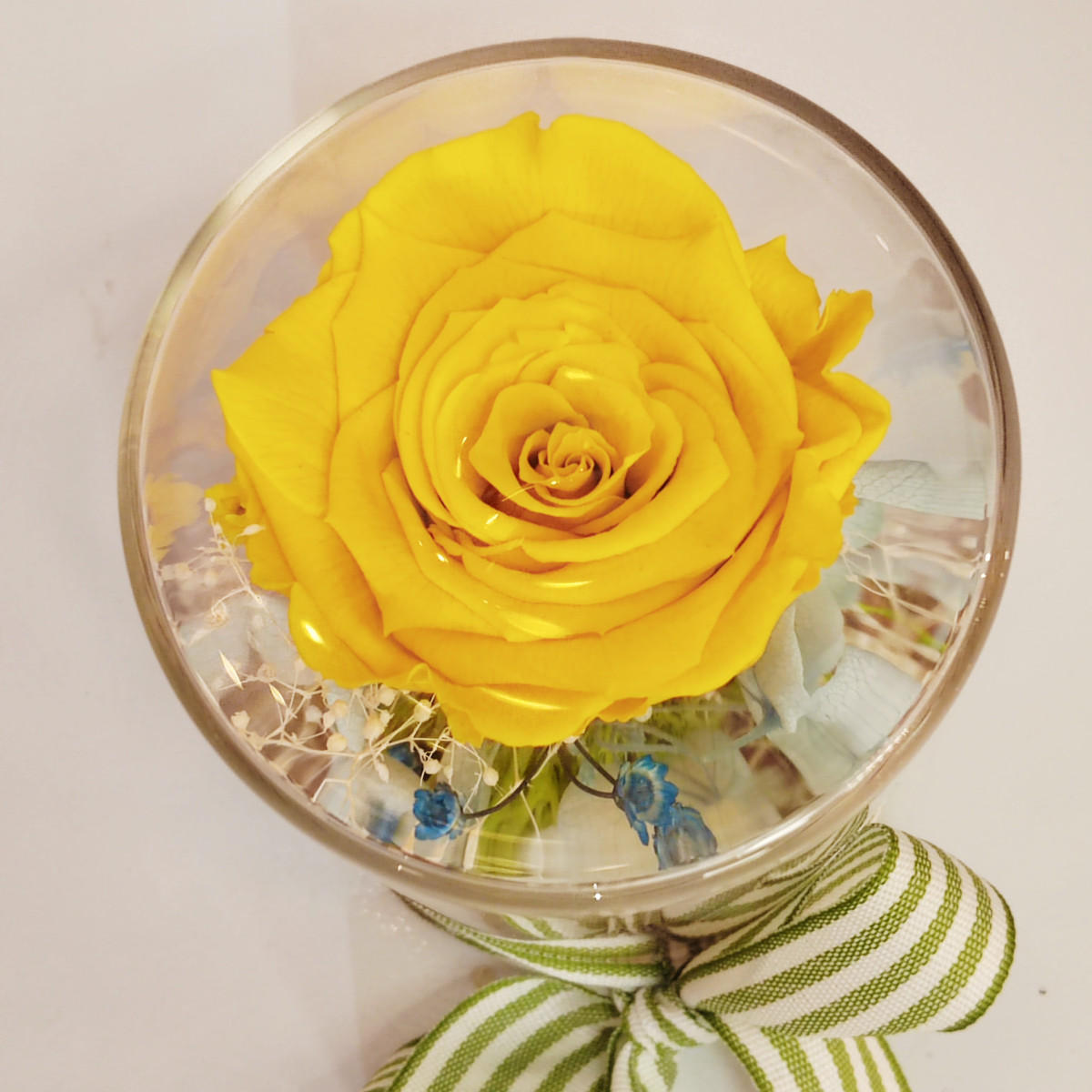 Composizione sotto vetro tappo in sughero rosa gialla