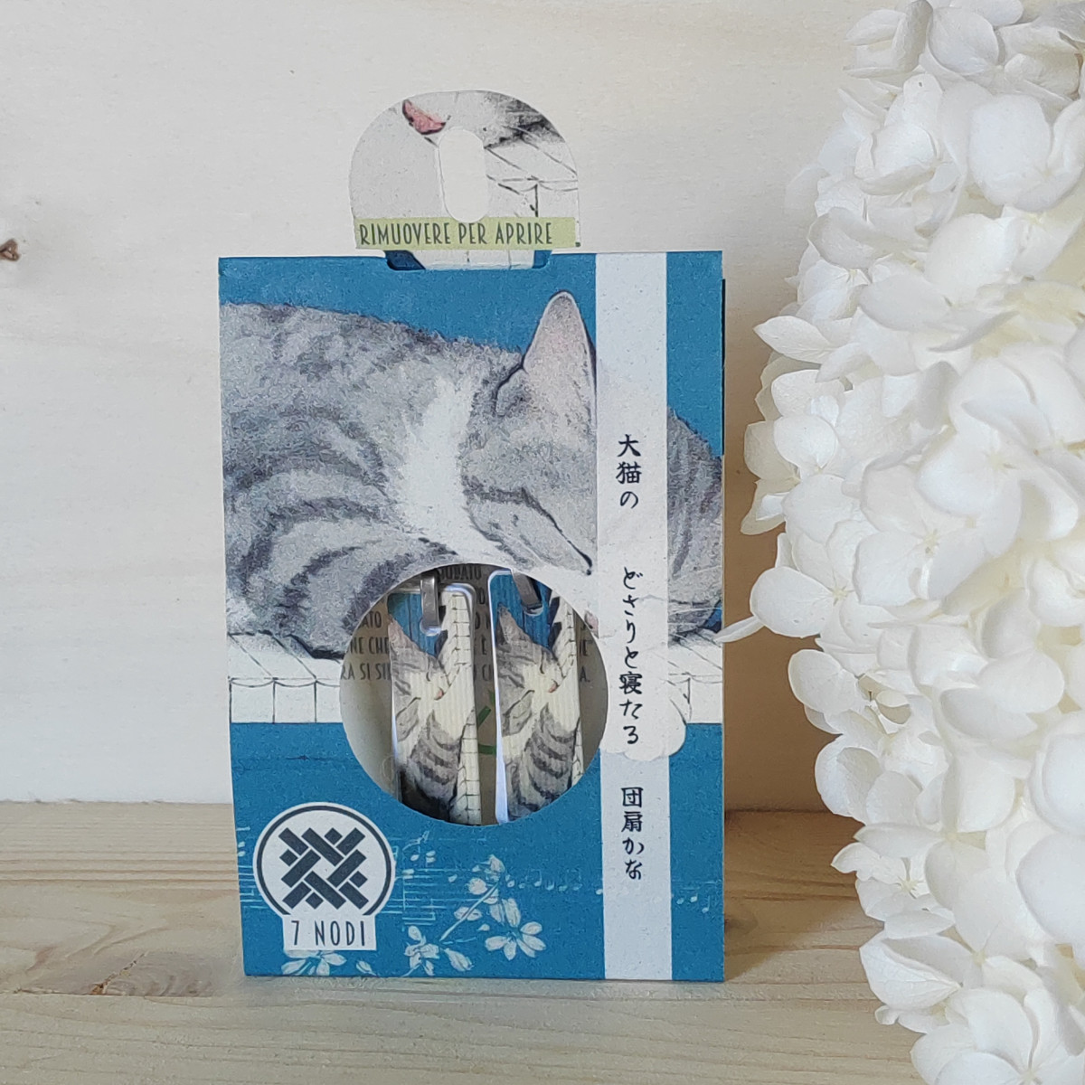 Orecchini con Haiku - Gatto che dorme-