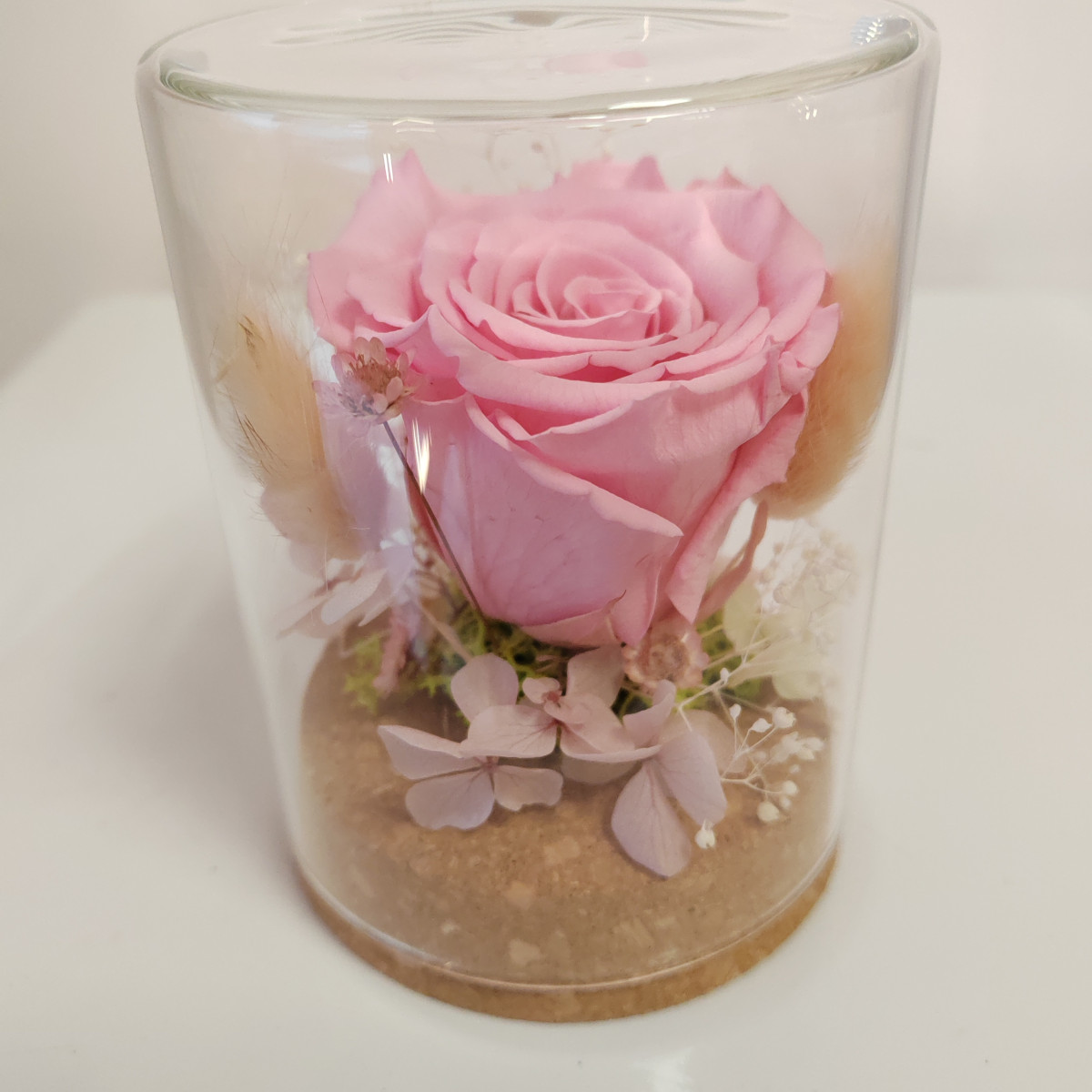 Rosa stabilizzata rosa sotto vetro