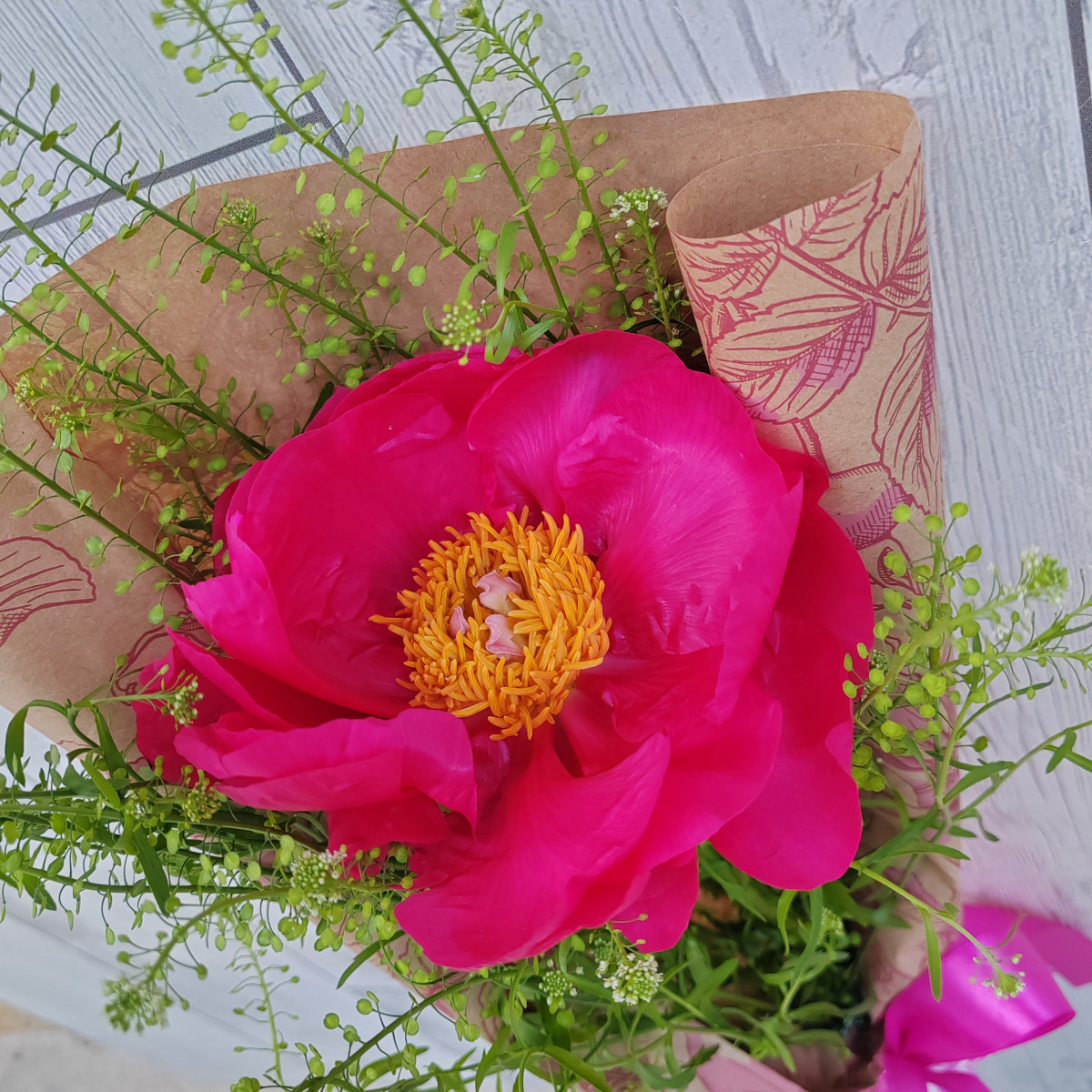 Peonia singola - Solo ritiro in negozio