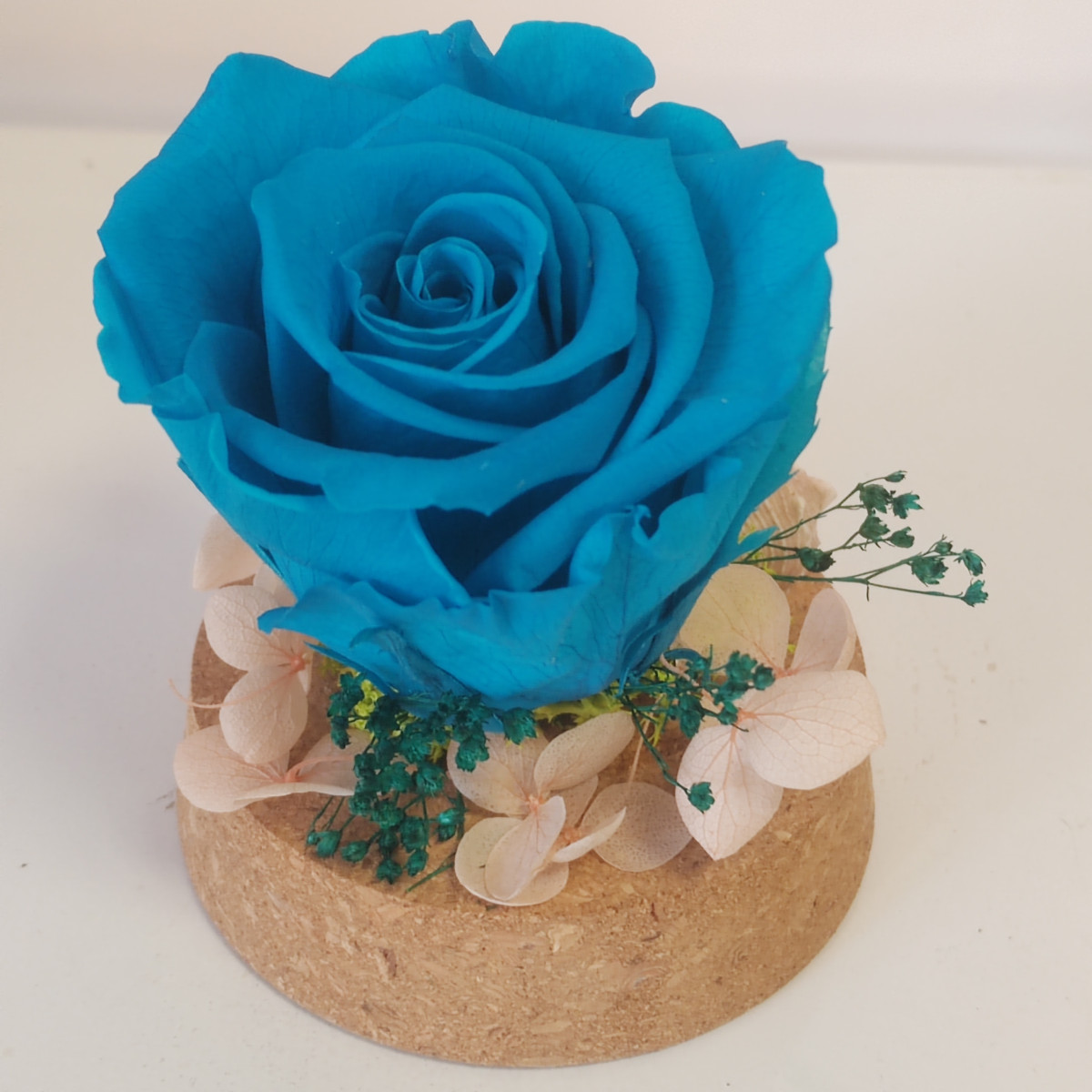 Rosa stabilizzata blu turchese brillante sotto vetro