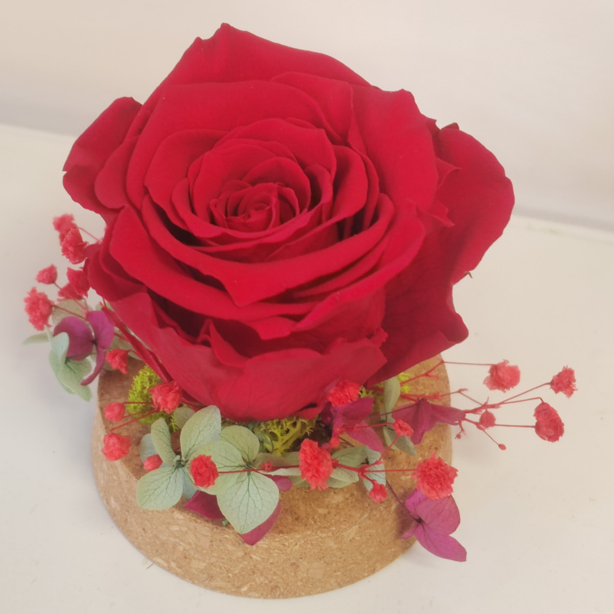 Rosa stabilizzata rossa sotto vetro