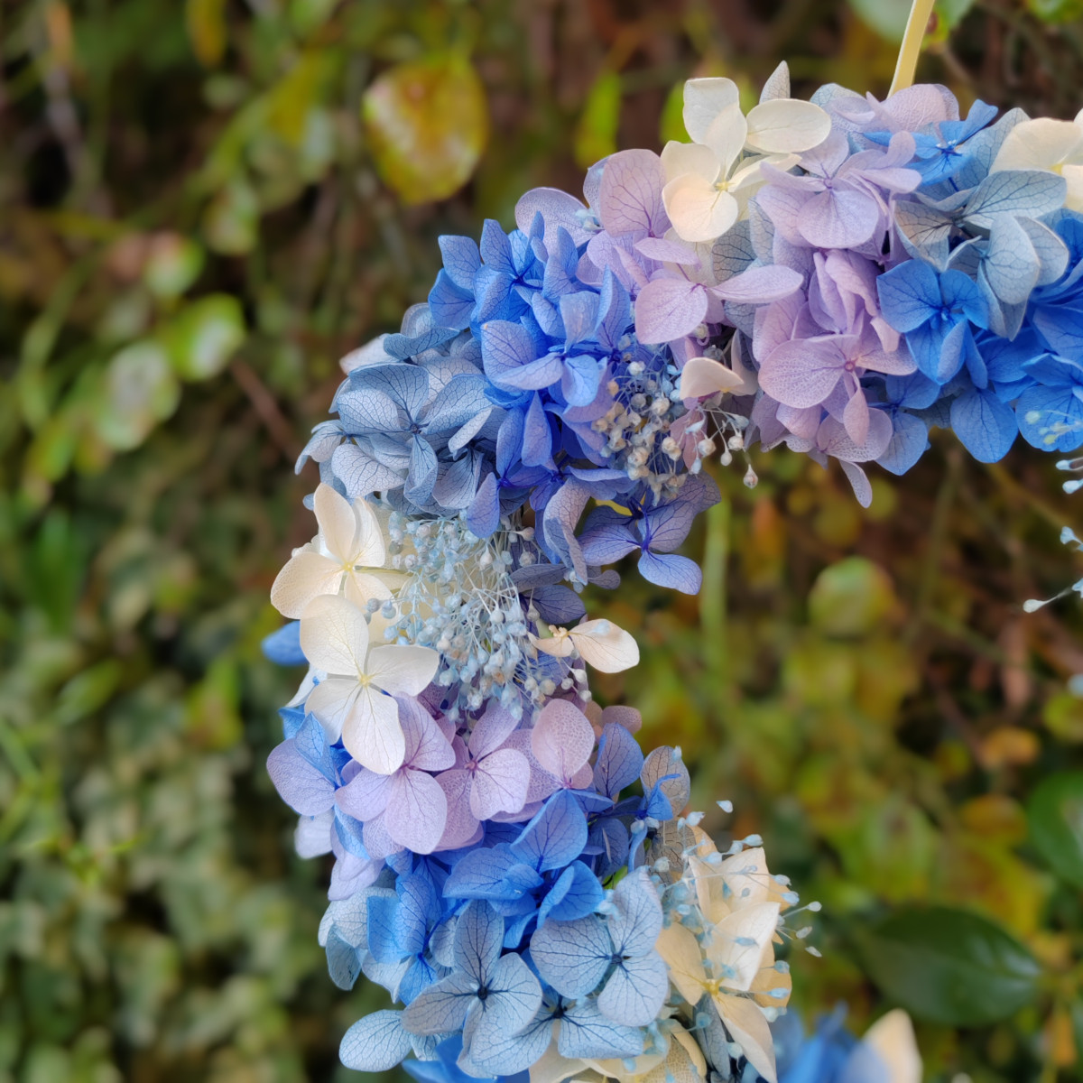 IMG_20260808_074521.jpg