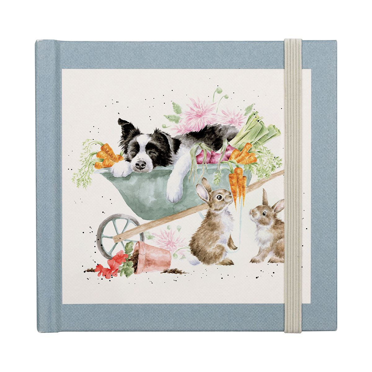 Taccuino delle password "Border collie"