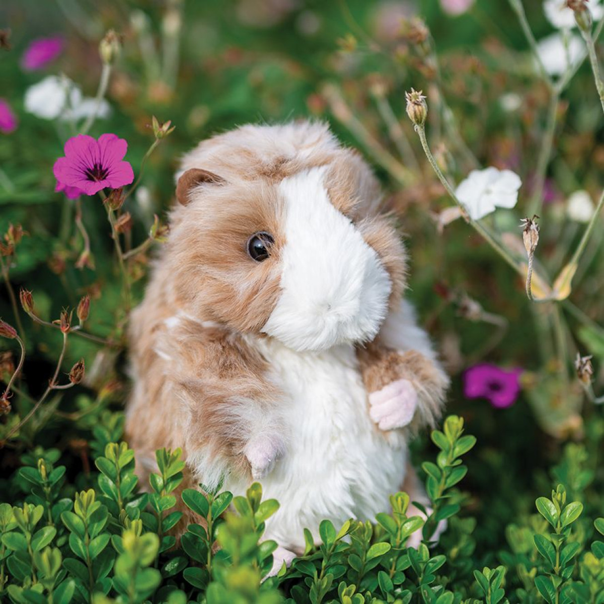 Peluche Wrendale "il porcellino d'India Daphne"