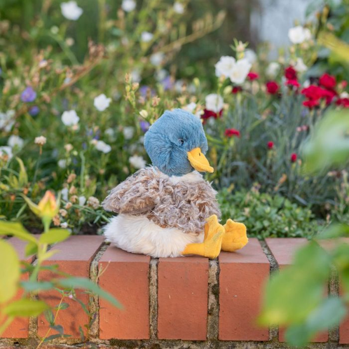 plush-bg-updated-58.jpg