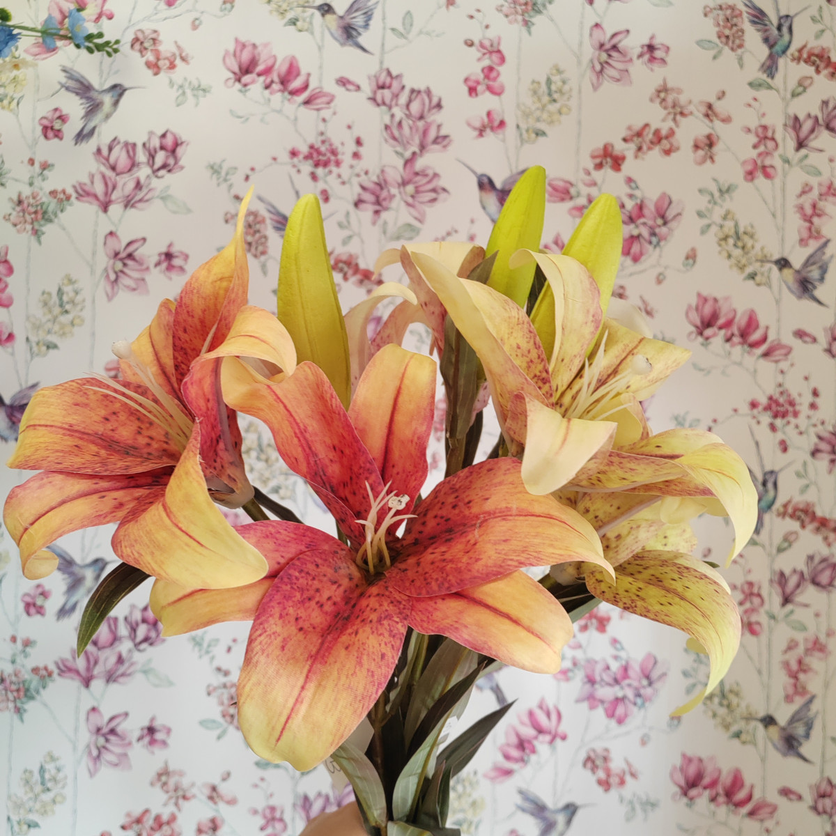 Tiger lily autunnale