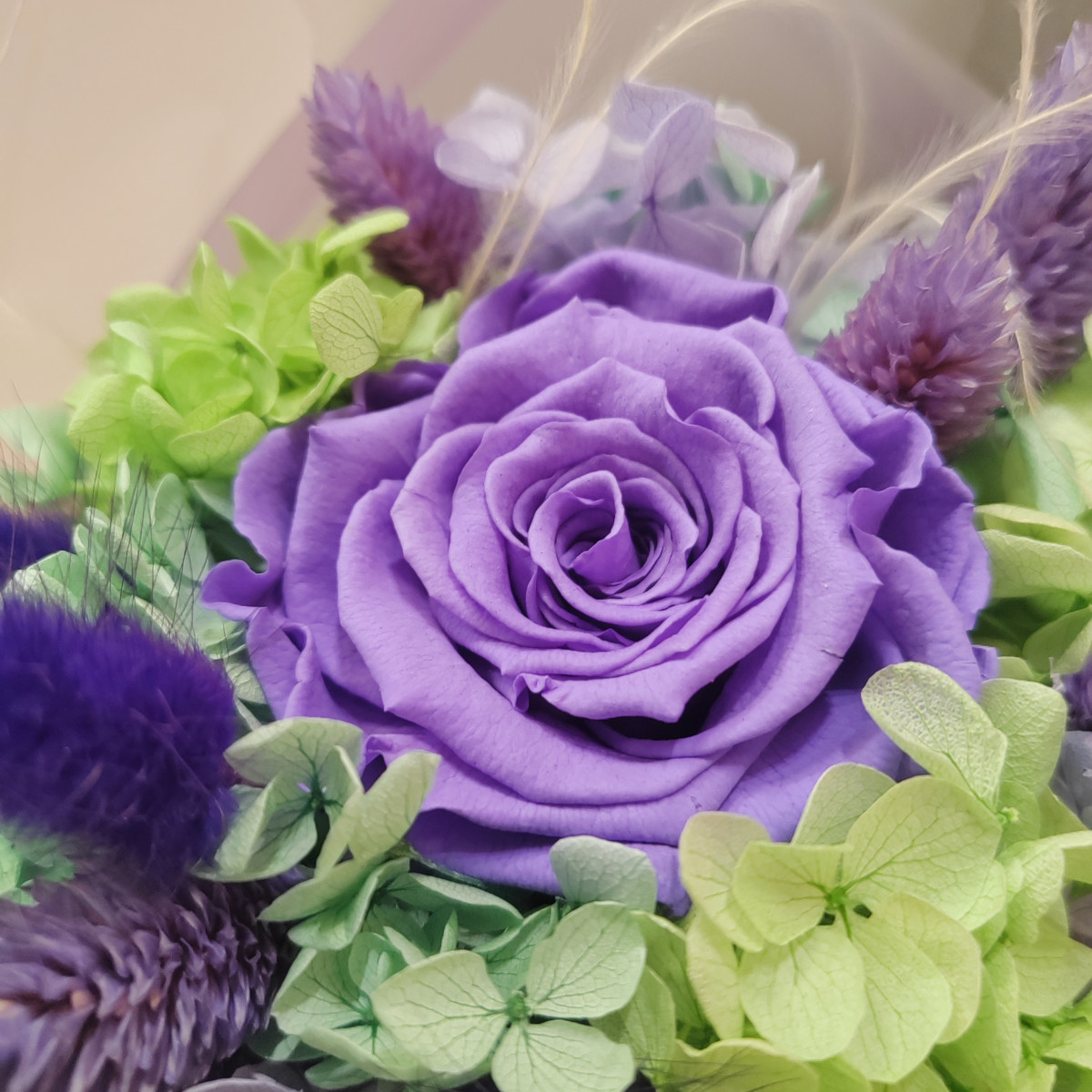 Pensierino verde e viola