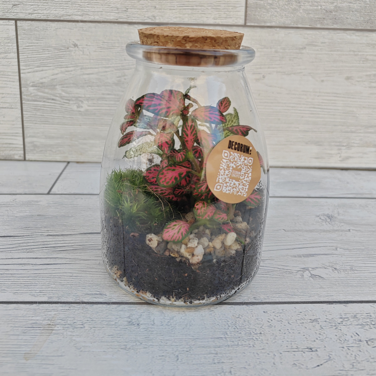 Terrarium piccolo