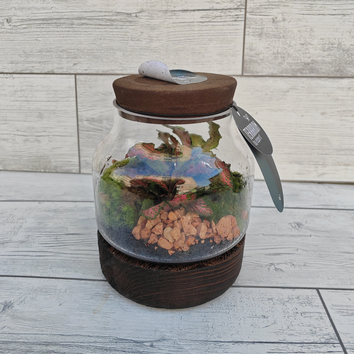Terrarium medio